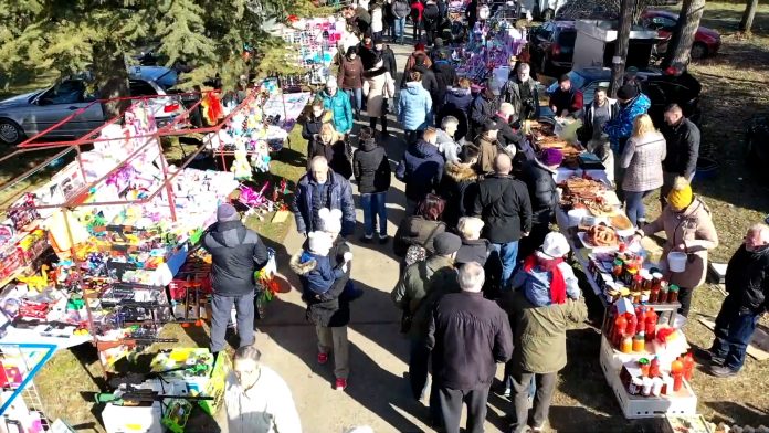 Festival cvaraka najava tivadar YT