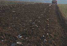 Plodoredom protiv korova