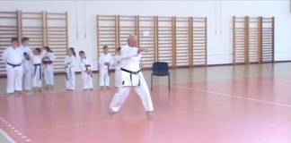 Zrenjaninski karatisti Bogdan i Branislav i u trećem dobu vredno i predano treniraju i nižu uspehe