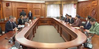 Brnabić – Sastanak sa generalnom sekretarkom Saveta Evrope