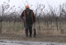 Raspisan Javni oglas za davanje prava na gazdovanje lovištima