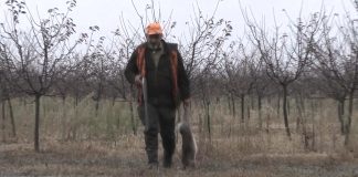 Raspisan Javni oglas za davanje prava na gazdovanje lovištima