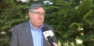 Đorđe Vukadinović o rezultatima izbora u Mađarskoj