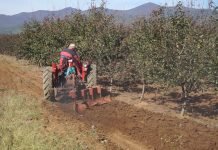 Neophodnost analize poljoprivrednog zemljišta