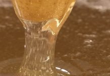 Cena bagremovog meda na istorijskom maksimumu