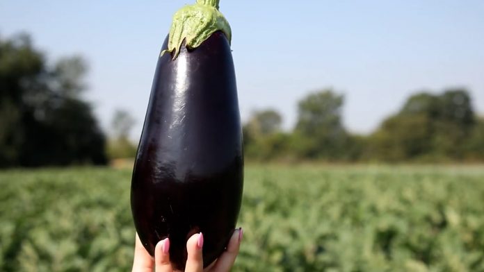 Patlidzano