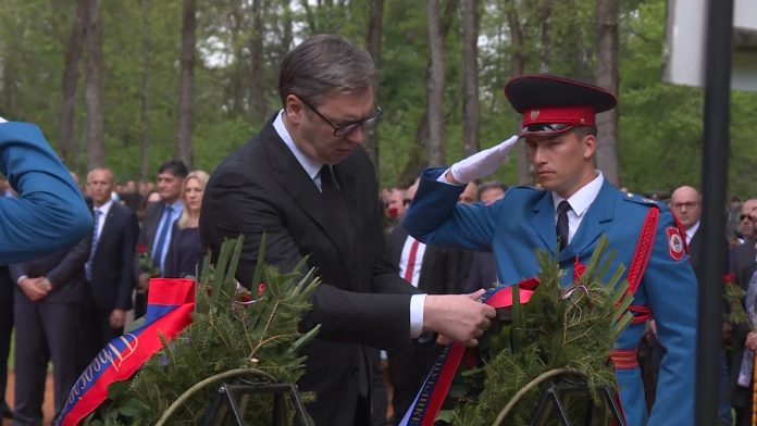 Vucic donja gradina