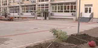 Dodela sredstava za program „Za čistije i zelenije škole u Vojvodini“