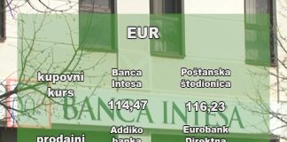 Zvanični srednji kurs dinara prema evru iznosi 117,40 dinara za evro, što je neznatna promena u odnosu na petak, objavila je Narodna banka Srbije.