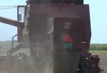 Neodgovarajuća cena pšenice