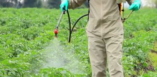 Obavezne obuke za sve poljoprivrednike koji koriste pesticide