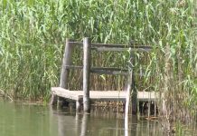 Volonteri u borbi protiv ribokradica