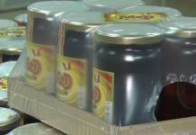 Očekuje se rekordna proizvodnja meda