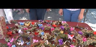 Bijeljina – Prodaja Ivanjdanskih venčića