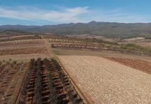 Kontrola plodnosti obradivog zemljišta