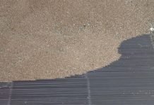 Otkup merkantilne pšenice