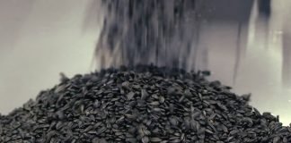 Mera zabrane izvoza suncokreta i dalje na snazi