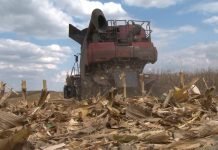 Suša sve veća pretnja