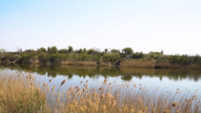 Suša, navodnjavanje, pomor ribe