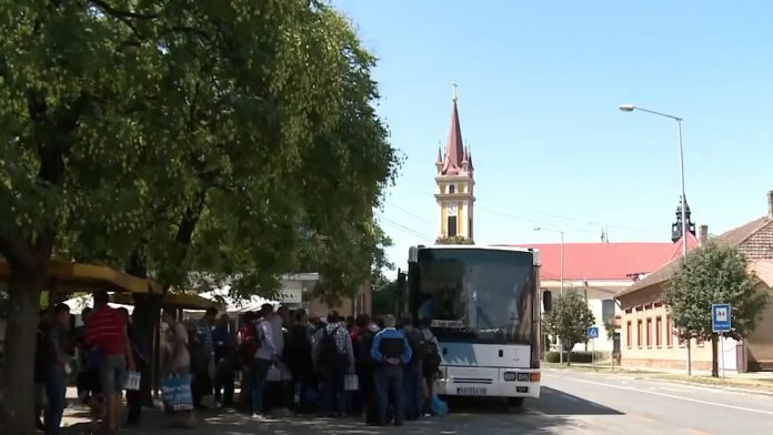 migranti