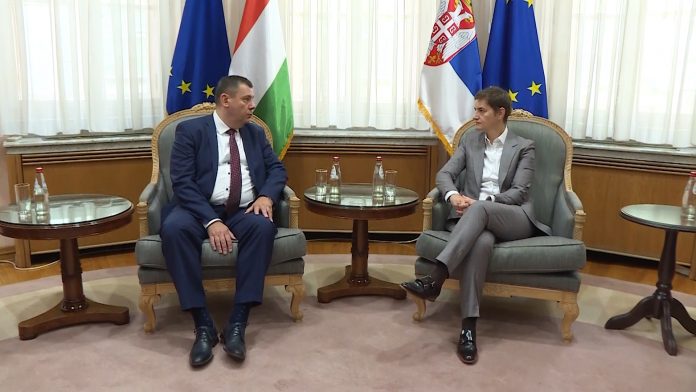 Brnabic i Pinter