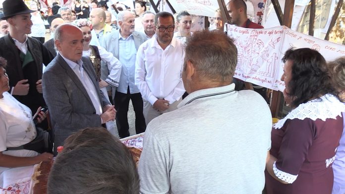 HAJDUK KRKOBABIC
