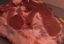 Meso iz Šida u septembru kreće za Saudijsku Arabiju