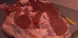 Meso iz Šida u septembru kreće za Saudijsku Arabiju