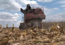 Ako država ne reaguje setva će biti bez đubriva, agrotehnike i hemije kažu poljoprivrednici Banata
