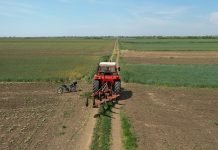 Podrška poljoprivrednicima kroz IPARD program