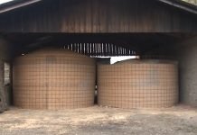 Skladišni insekti prouzrokuju i do 80% štete na uskladištenom žitu