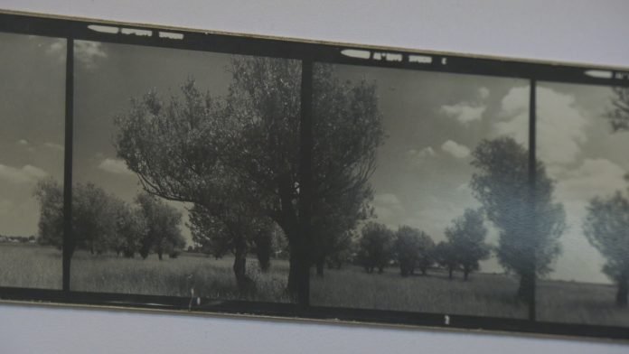 IZLOZBA FOTOGRAFIJA BAGLJAS