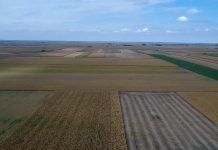 Kredit za kupovinu poljoprivrednog zemljišta – Rok vraćanja 5 godina, kamata 1% na godišnjem nivou