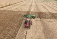 Setva žitarica skuplja, ali će ratari primeniti sve agrotehničke mere