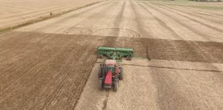 Setva žitarica skuplja, ali će ratari primeniti sve agrotehničke mere