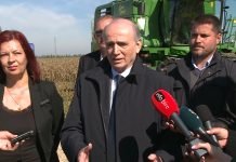 Krkobabić u Kikindi – Uz zadruge do savremene mehanizacije