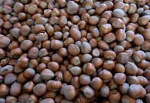 Kako se skladišti lešnik?