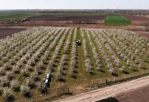 Prinos, kvalitet i otkupne cene voća