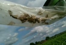 Upotreba feromonskih klopki u suzbijanju insekata