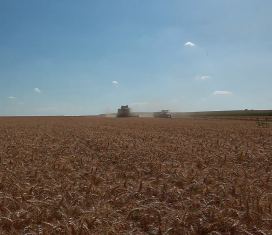 Šta je sve predviđeno Nacrtom nacionalnog programa za poljoprivredu za period od 2022. do 2024.