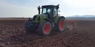 Setva pšenice – Manje mineralnog đubriva, više semena s tavana