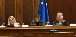 Brnabić pozvala nevladine organizacije da se oglase povodom Kosova