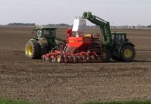 Srbija poslednja na Listi evropskih država u korišćenju sertifikovanog semena