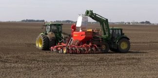 Srbija poslednja na Listi evropskih država u korišćenju sertifikovanog semena