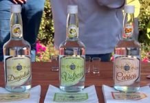 Najviše rakije izvozimo u Hrvatsku, Nemačku, Crnu Goru, SAD i BiH