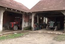 Za sprovođenje mera odgajivačkog programa u Vojvodini 50 miliona dinara