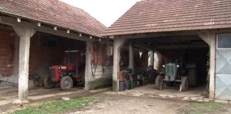 Za sprovođenje mera odgajivačkog programa u Vojvodini 50 miliona dinara
