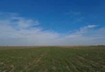 Novi IPARD 3 program za poljoprivrednike krajem februara