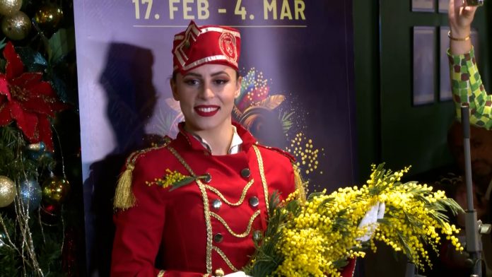 Praznik mimoze