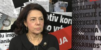 Sanda Rašković Ivić – O poništavanju diplome Siniše Malog
